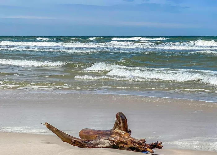 Beautiful In With Wifi Białogóra