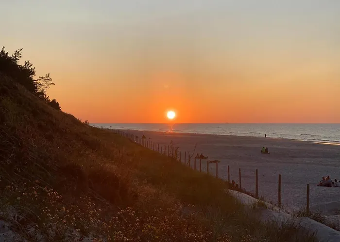 Beautiful In With Wifi